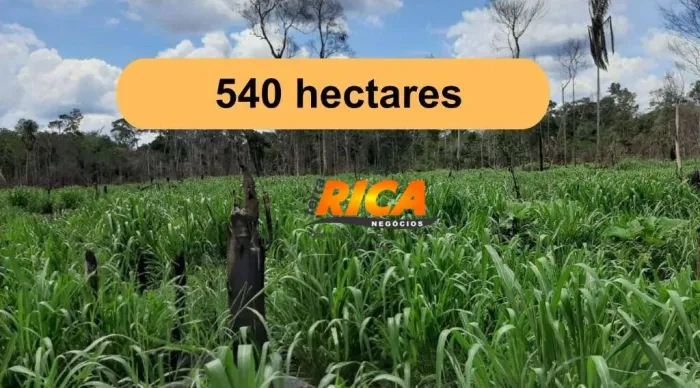 VENDE-SE EXCELENTE FAZENDA SENTIDO HUMAITÁ - AM