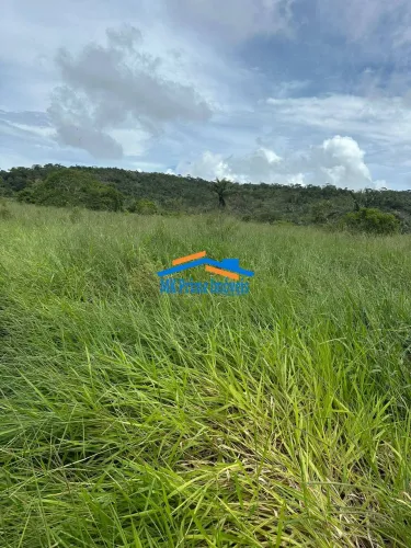 Oportunidade de Investimento: 1.774 ha em Guarantã do Norte - MT