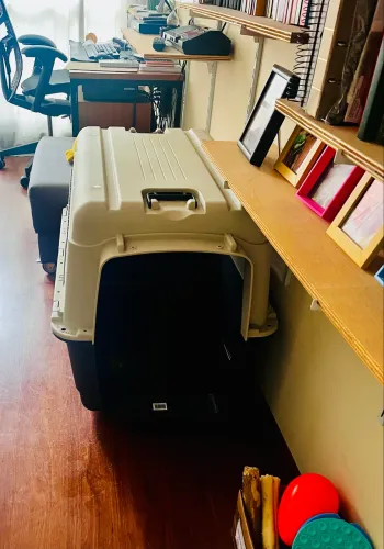 Caixa transportadora G