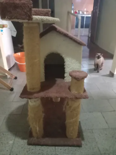 Arranhador para gatos 