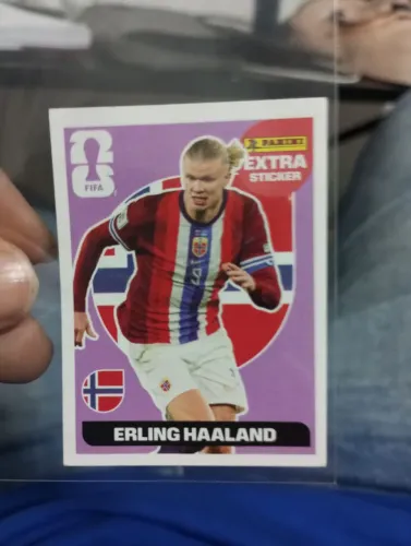 Legend do haland lilas