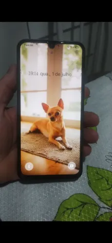 Celular a15