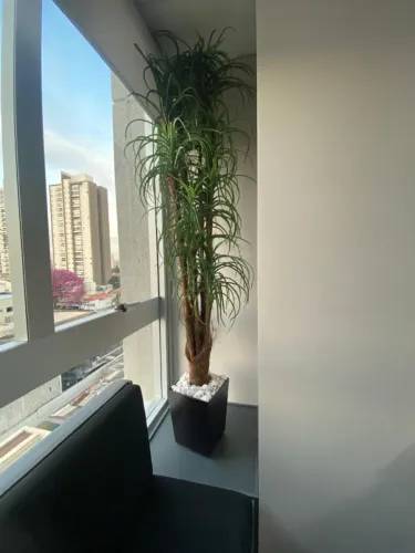 Planta Artificial YUCCA PATA DE ELEFANTE 1,97 metros de altura