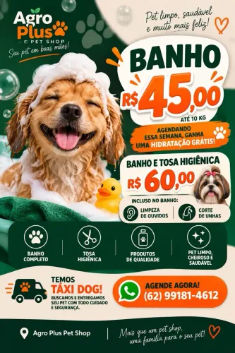 Banho e tosa - levamos e buscamos seu pet