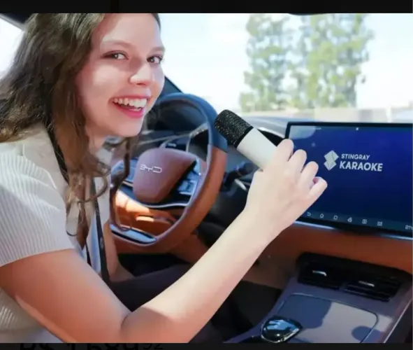 Microfone karaoke Puremic oficial BYD compatível com todos os modelos produto lacrado!