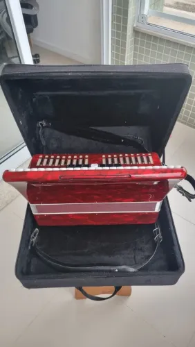 Acordeon Eagle 120 baixos
