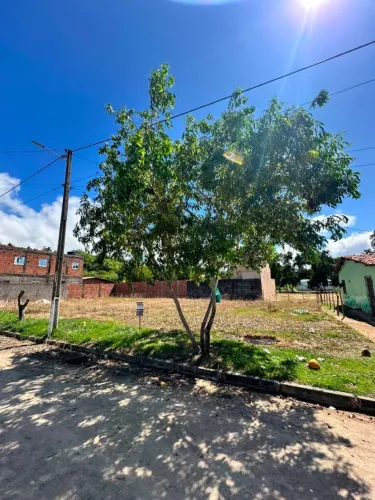 Terreno em São José da Coroa Grande