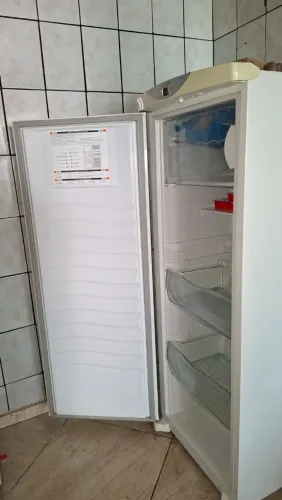 Freezer vertical
