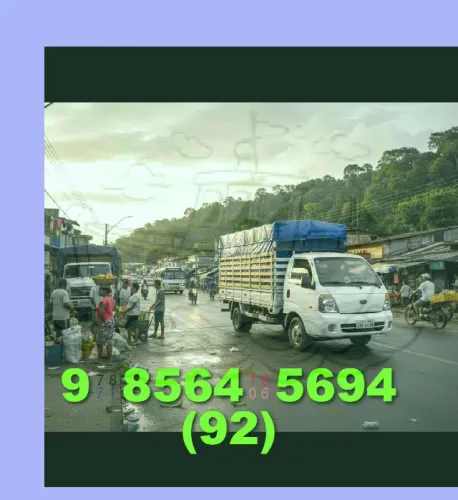 transporte de cargas ( tomcargo ) com 9-8-1-5-3-0-6-8-4 + carreto e viagens em geral