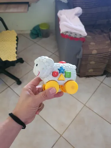 Ovelhinha musical em Samambaia<br>Sul