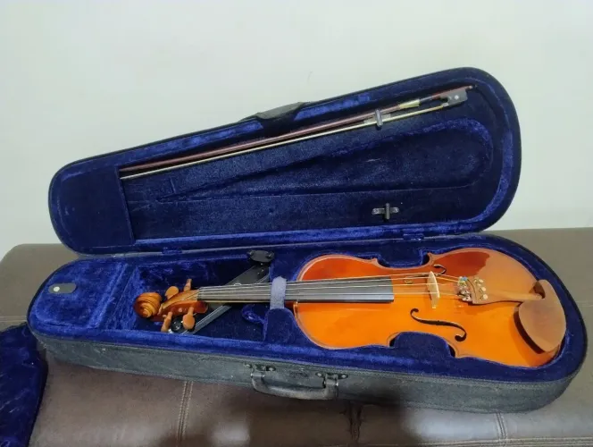 Viola de arco Eagle