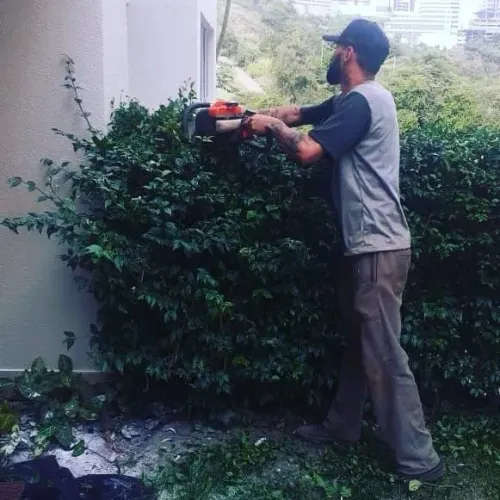 Jardinagem e Paisagismo