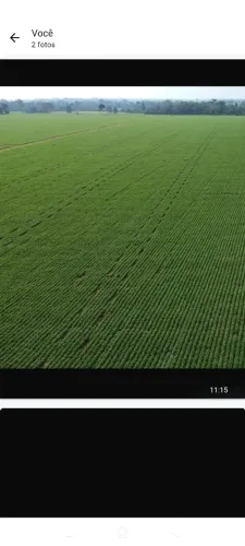 Fazenda de arrendamento 6.500hec plantando em Juara MT.
