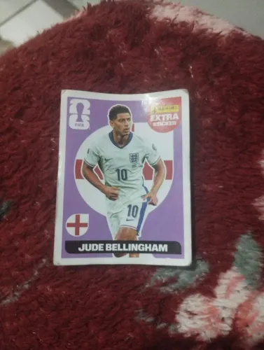 Extra do bellingham bordo