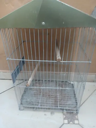 Gaiola de passarinho 