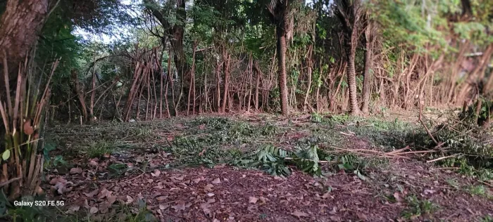 Terreno em mar grande Vera cruz itaparica