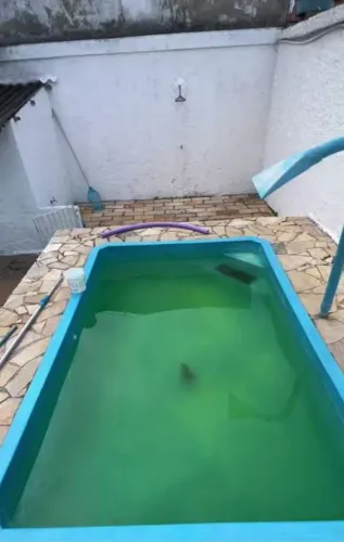 Limpador de piscina