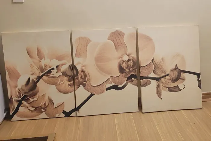 Quadro 3D orquídeas 