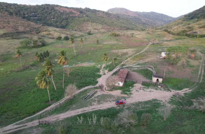Arrendo fazenda 162 hectares 