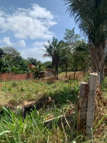TERRENO - QUATRO LOTES NA ESTRADA DE RIBAMAR (3600M2)