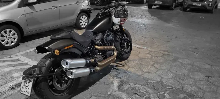 Fat Bob 2020