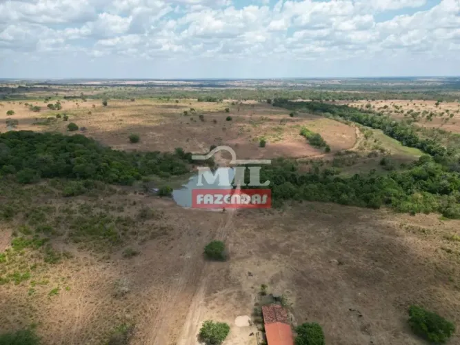 Fazenda 413 Alqueires (2.000 Hectares) Abreulândia-TO