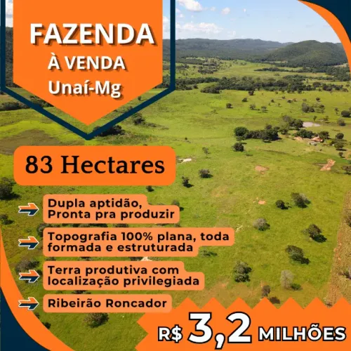 FAZENDA PRODUTIVA À VENDA - UNAÍ-MG
