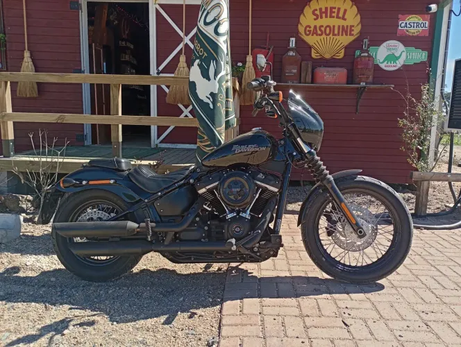 Harley Davidson Street Bob 2019