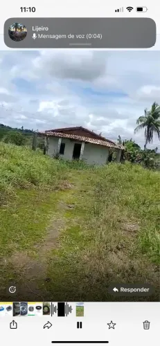 Vende-se terreno em Sapeaçu toda no pasto  pra gado 