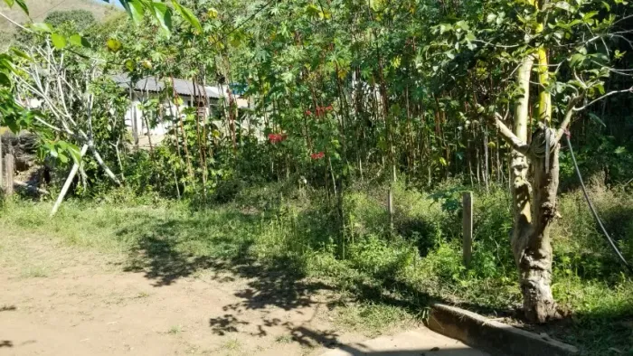 Vendo parte de um sítio em Bom Jardim-RJ( terreno  de 6.806 m2)