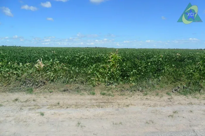 Fazenda com 2 dormitórios à venda, 10000000 m² por R$ 5.000.000,00 - Zona Rural - Bonfinóp