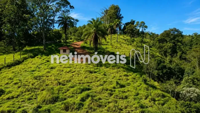 Terreno de 25.000 m²; à venda em Macacos | São Sebastião das Águas Claras | Nova Lima/MG