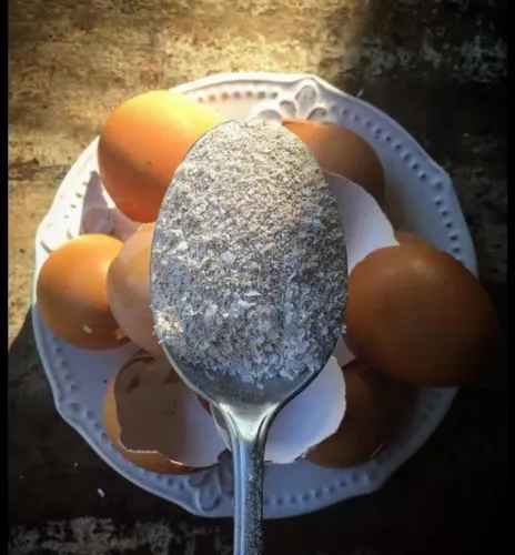 Farinha da casca de o