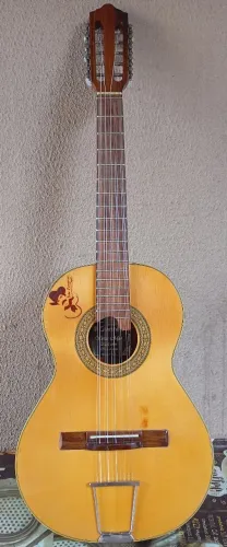 Vende-se essa viola Gianini MPB série!