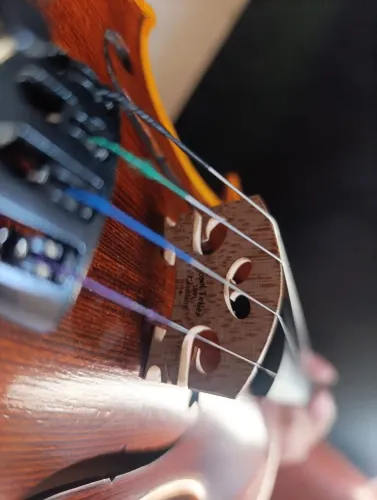 Violino