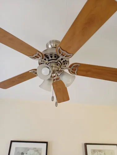 Ventilador de teto Hunter Builder