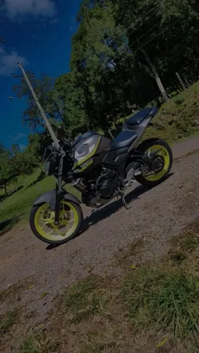MT 03 
