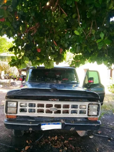 Ford F-1000 S. S. Diesel / S.s. Diesel Turbo 2022