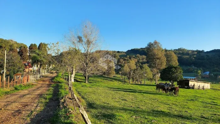 Terra no interior de Garibaldi para turismo ou para seu sítio