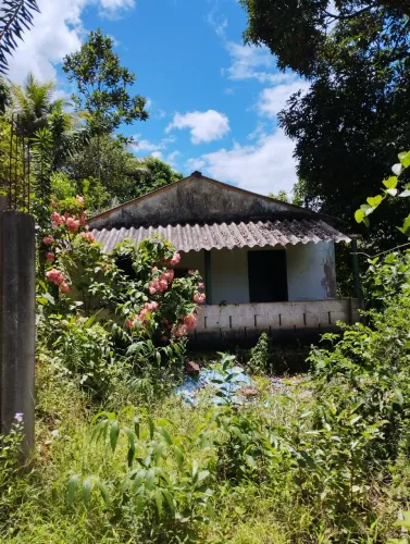 TERRENO COM CASA 6 MIL M2