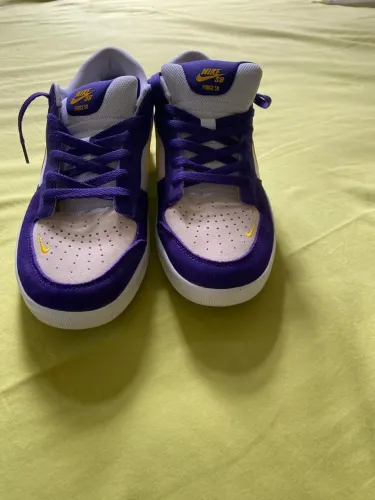 NIKE SB 38