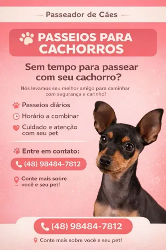 Passeio com cachorros -  novo campeche 