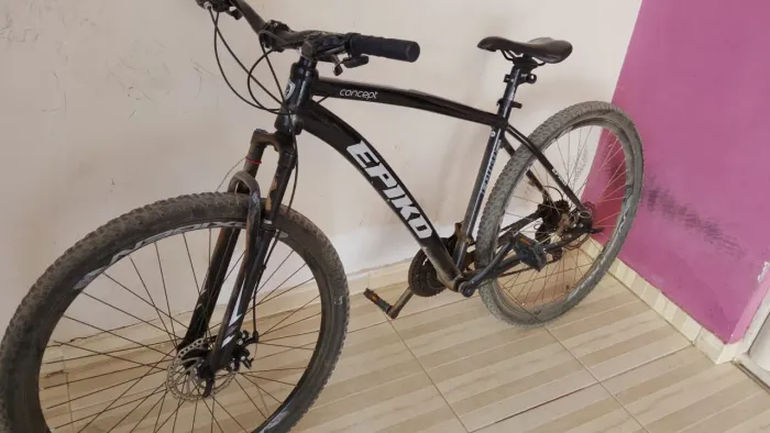 Bike Epiko aro 29
