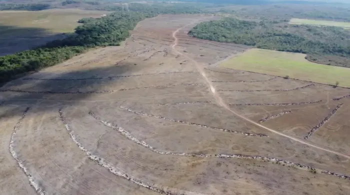 Fazenda 236,38 alqueires (1.144,12 hectares) Pium - To