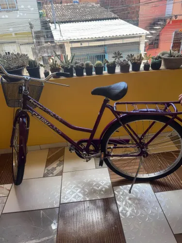 Bicicleta Carguê Malaga Roxa