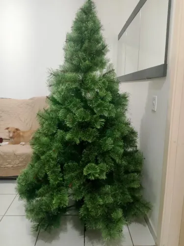 Árvore de Natal