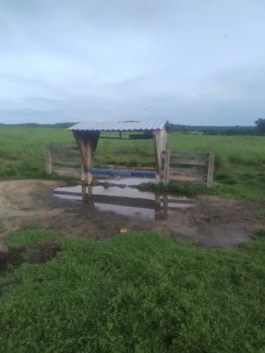 A fazenda para a venda possui 97 Alqueires