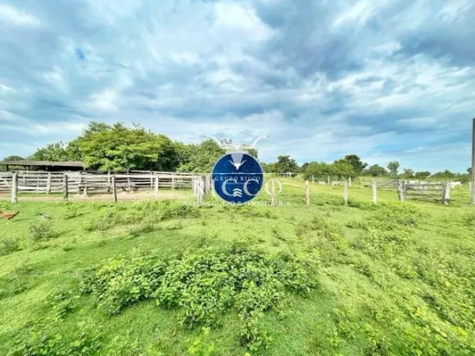 Fazenda à Venda em Crixás - GO | 41 Alqueires com Infraestrutura Completa