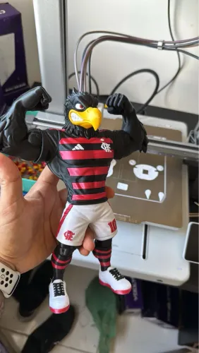 Urubu flamengo