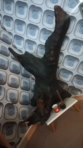 Tronco de Aroeira Gigante (90cm) para Aquário, Terrário ou Decoração